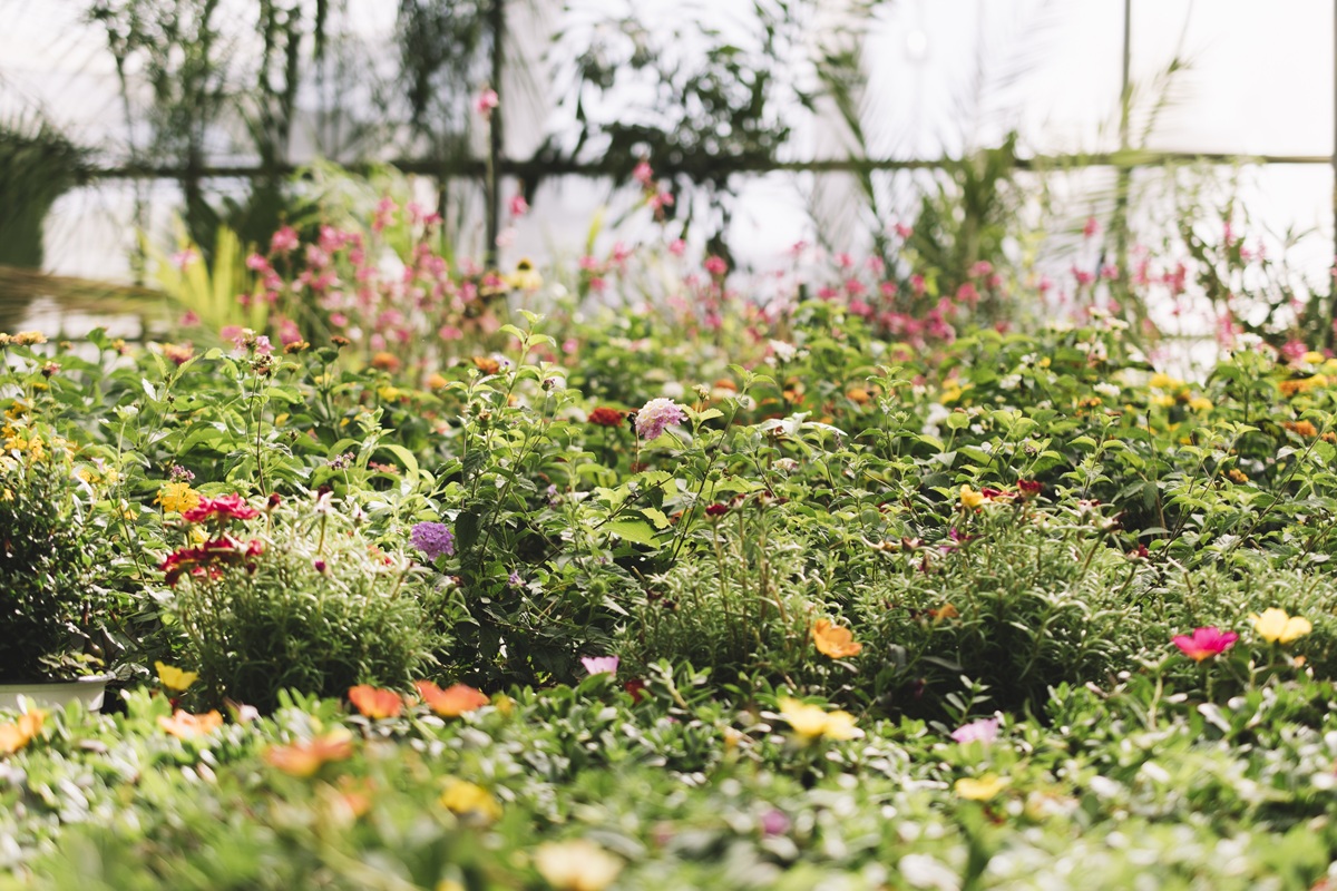 Chaos Gardening